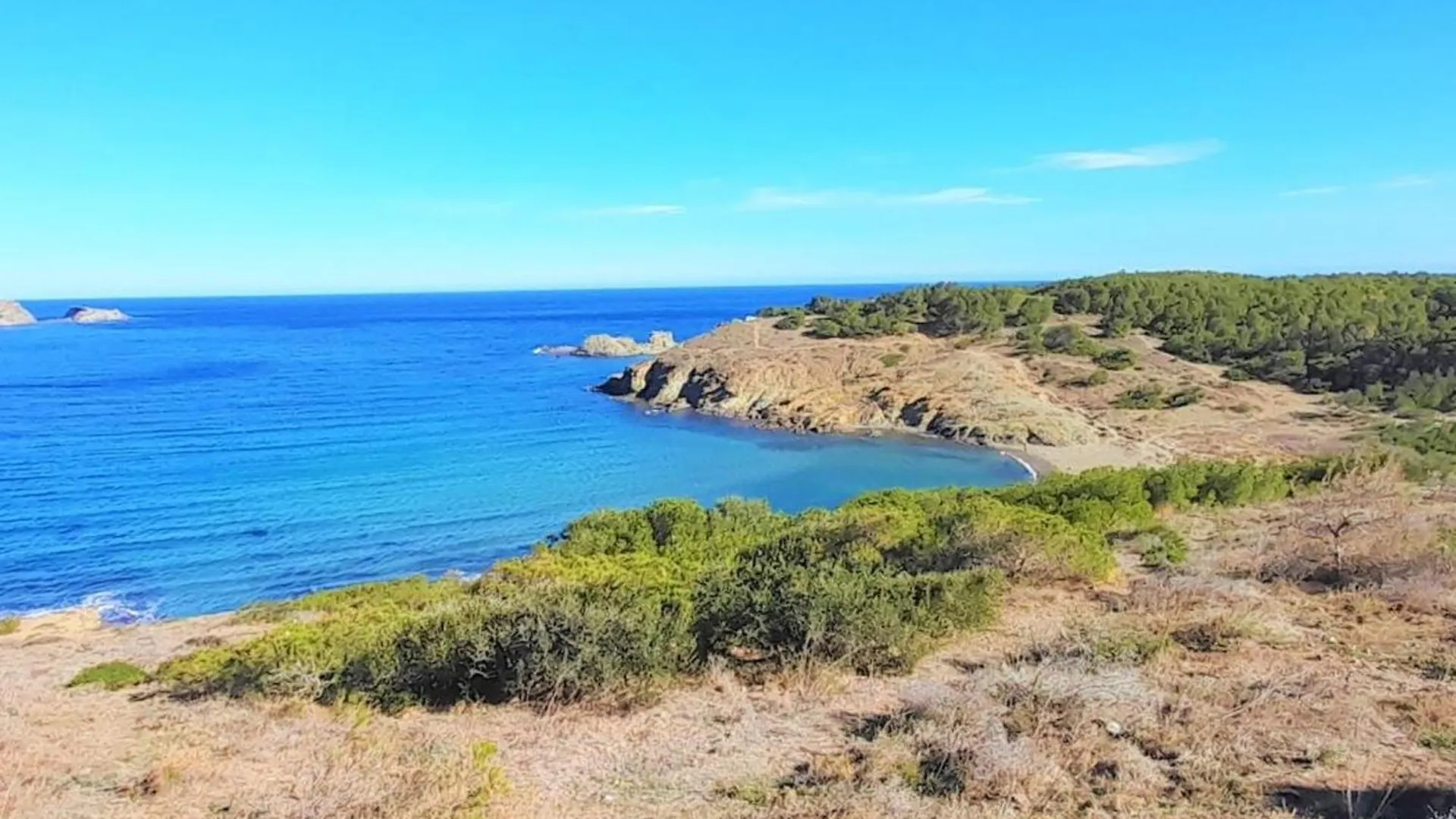 Apartment Atico En Grifeu, Llanca: Terraza, Playa A 100M, 1 Habitacion, Admite Mascotas - Es-170-91 Spain
